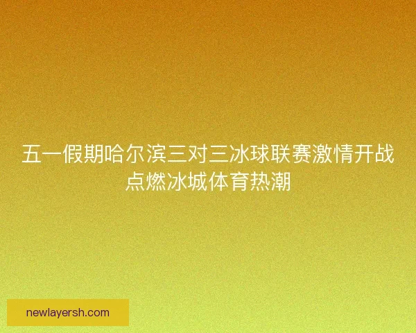 五一假期哈尔滨三对三冰球联赛激情开战点燃冰城体育热潮