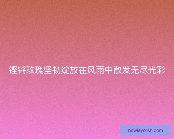 铿锵玫瑰坚韧绽放在风雨中散发无尽光彩